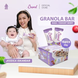 Granola Bar - Yoghurt Berry [16Pcs]
